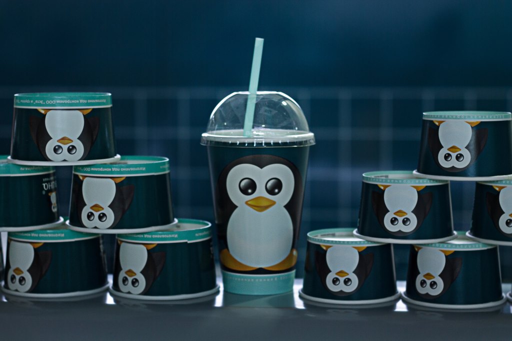 Заказчик - Магазин мороженного "33 пингвина". Организация промо проекта